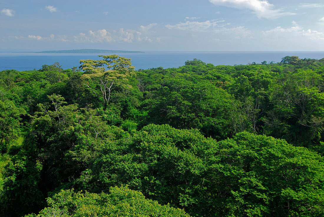 View over tree tops to the sea, West Bali, Indonesia, Asia