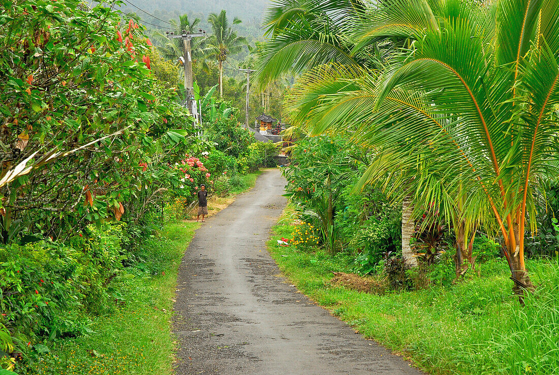 Menschenleere Dorfstrasse im Nationalpark Bali Barat, Bali, Indonesien, Asien