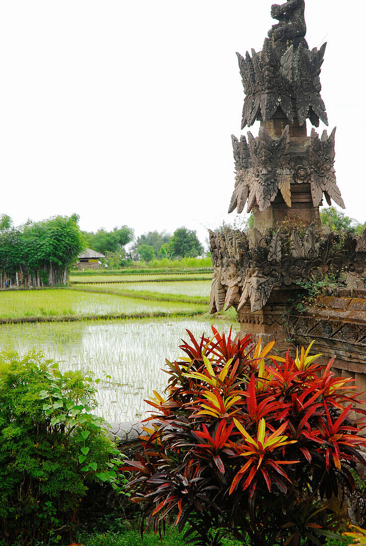 Detail of the Pura Beji Temple in front of rice field, Sangsit, Northern Bali, Indonesia, Asia