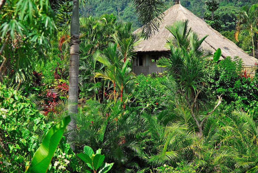 Dach eines Bungalow des Hotel Sacred Mountain Sanctuary hinter Bäumen, Gunung, Ost Bali, Indonesien, Asien