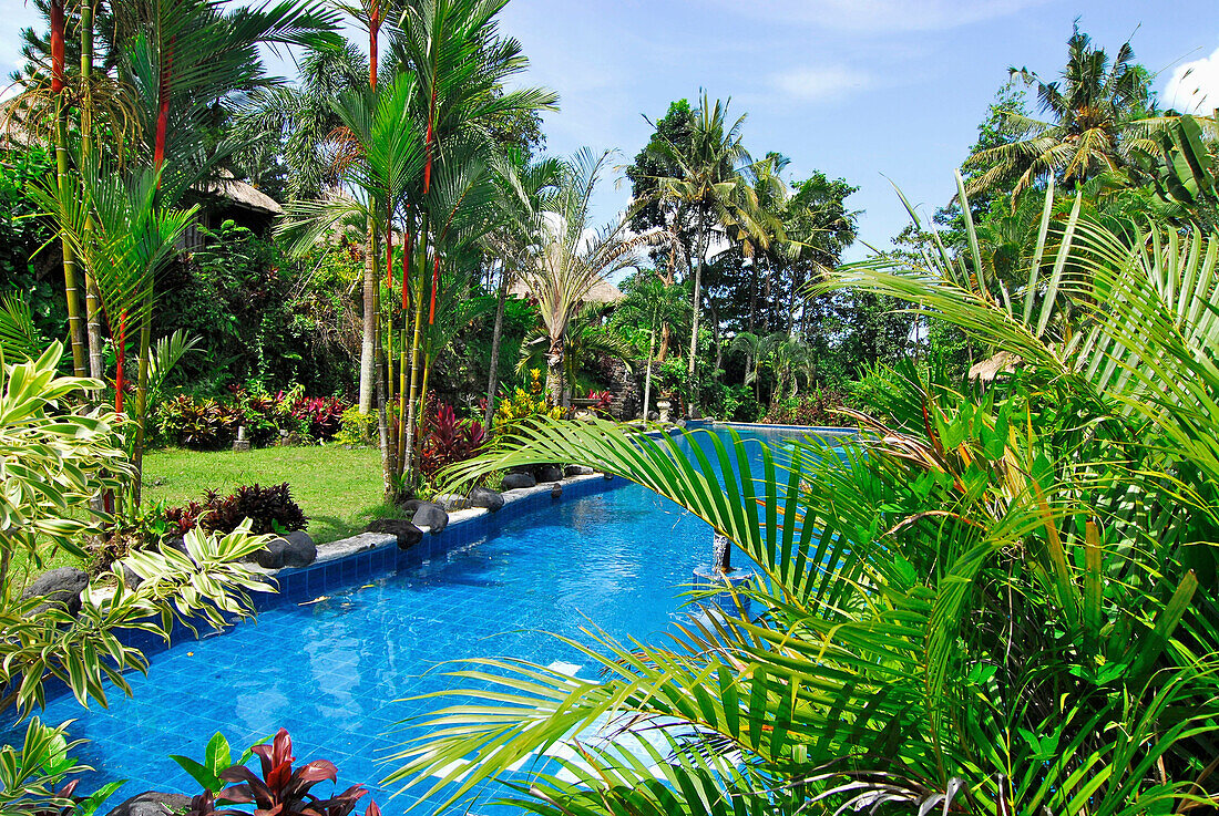 Pool of the Hotel Sacred Mountain Sanctuary in the sunlight, Sidemen, East Bali, Indonesia, Asia