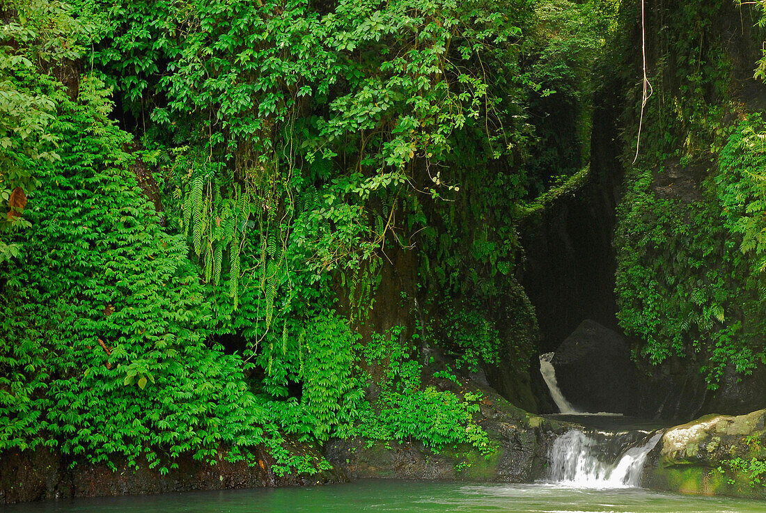 Einsamer Wasserfall unter Bäumen, Nord Bali, Inonesien, Asien