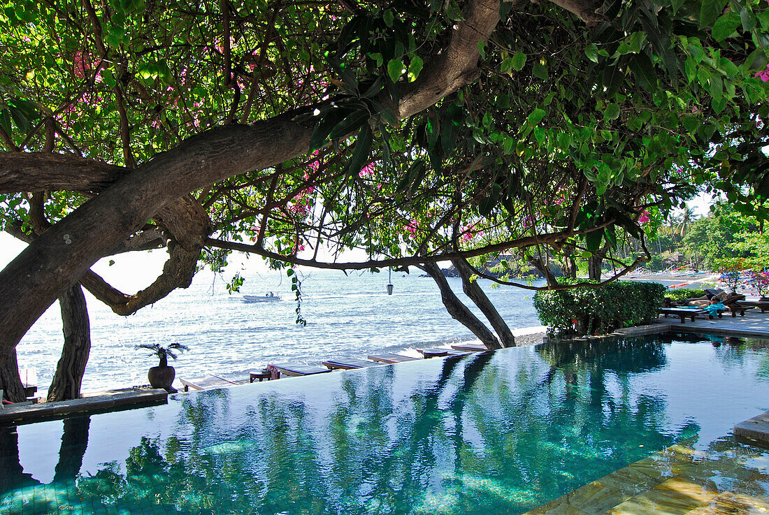 Pool with ocean view under trees, Mimpi Resort at Tulamben, North East Bali, Indonesia, Asia