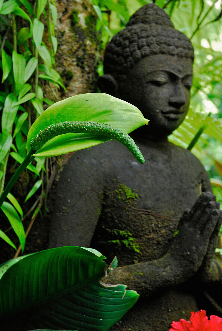 Buddha figure in front of green plants, Ubud, Bali, Indonesia, Asia