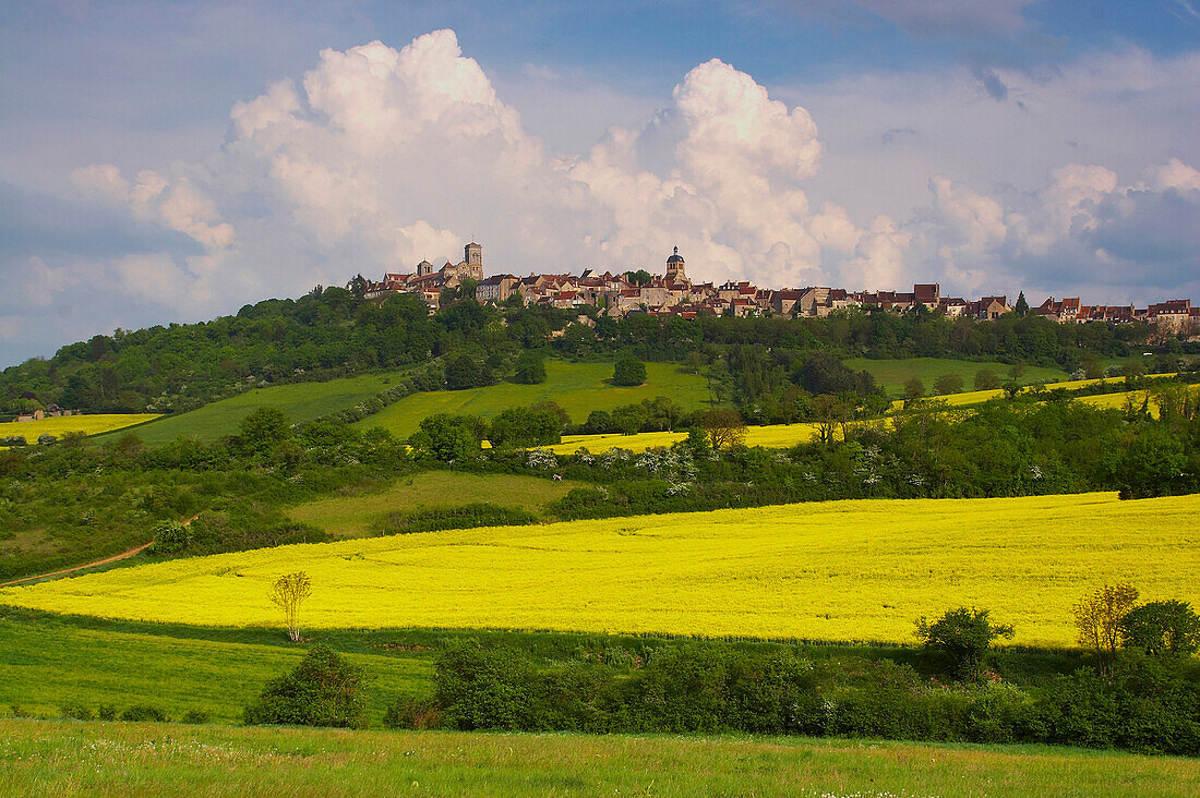 View at Vézelay with St. Madelaine, The Way of St. James, Roads to Santiago, Via Lemovicensis, Chemins de Saint-Jacques, Dept. Yonne, Région Bourgogne, Burgundy, France, Europe