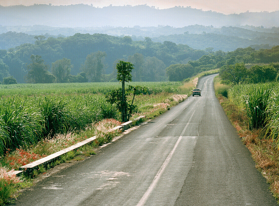 Car on a country road next to sugarcane fields, Veracruz province, Mexico, America