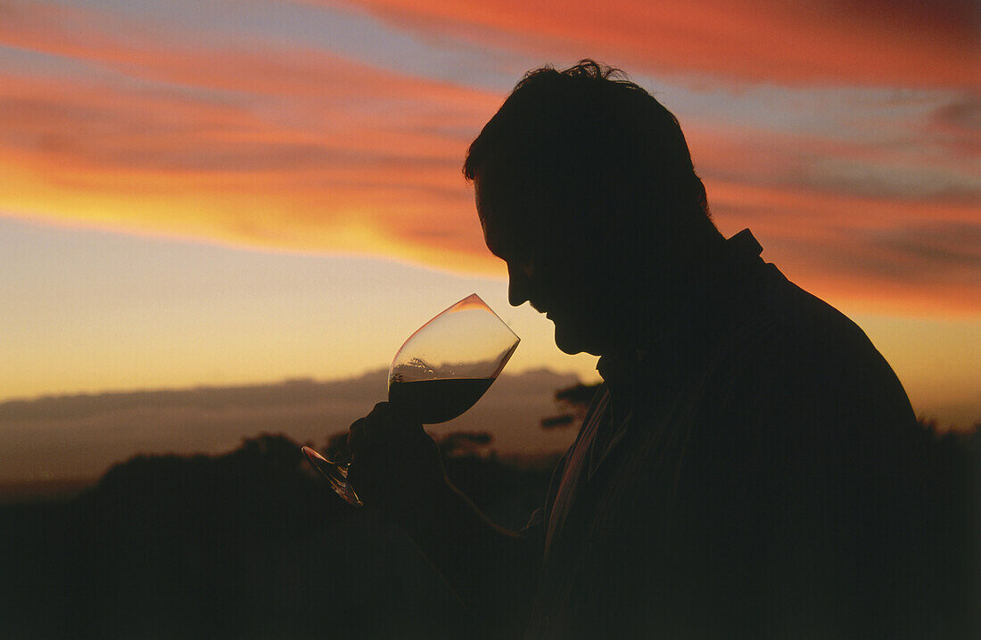 Saxenburg's winemaker Nico van der Merwe at sunset, Stellenbosch, Western Cape, South Africa, Africa