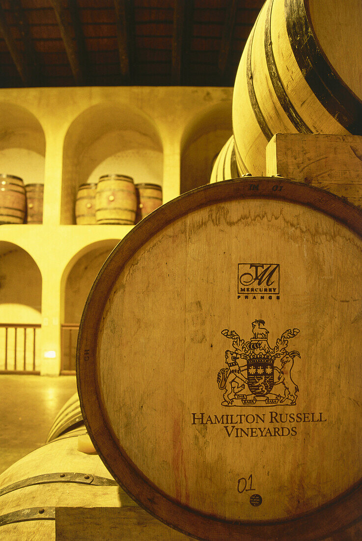 Barrel maturation cellar at Hamilton Russel Vineyards, Hermanus, Walker Bay, South Africa, Africa