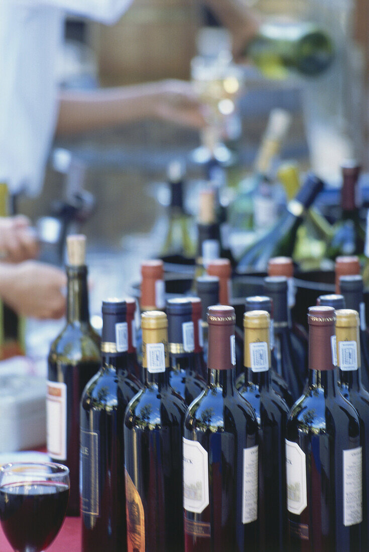 Viele Flaschen Rotwein und Weißwein, Restaurant in Franschhoek, Westkap, Südafrika, Afrika