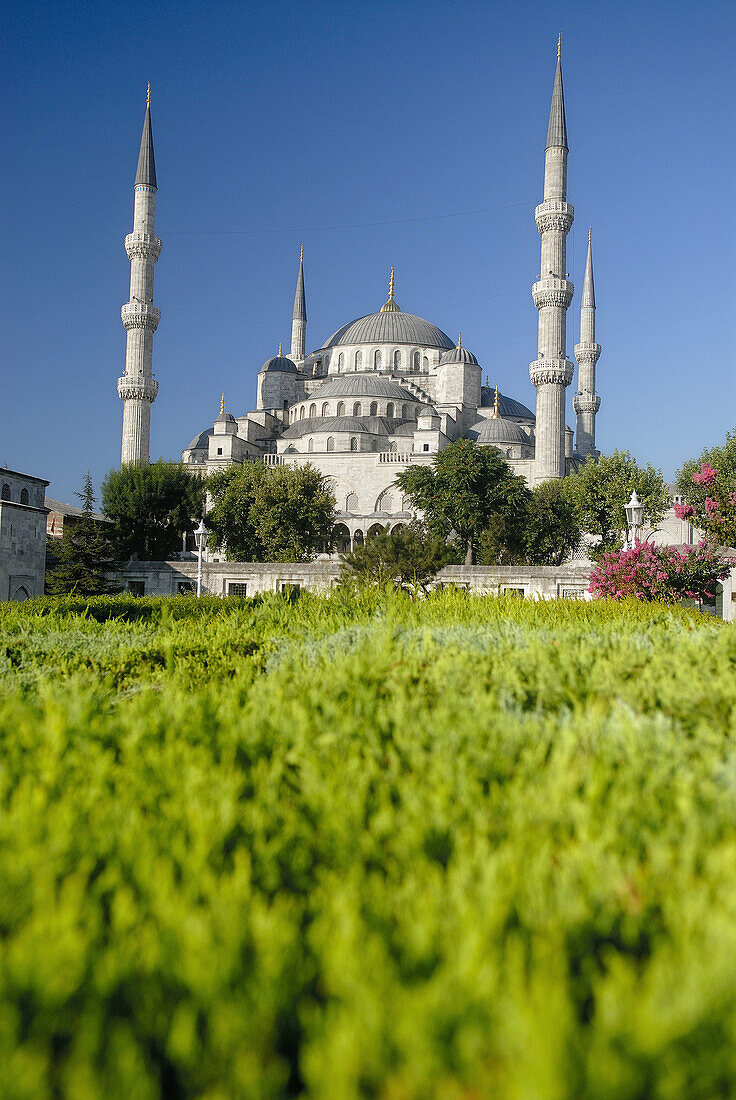 Blue Mosque, Istanbul. Turkey