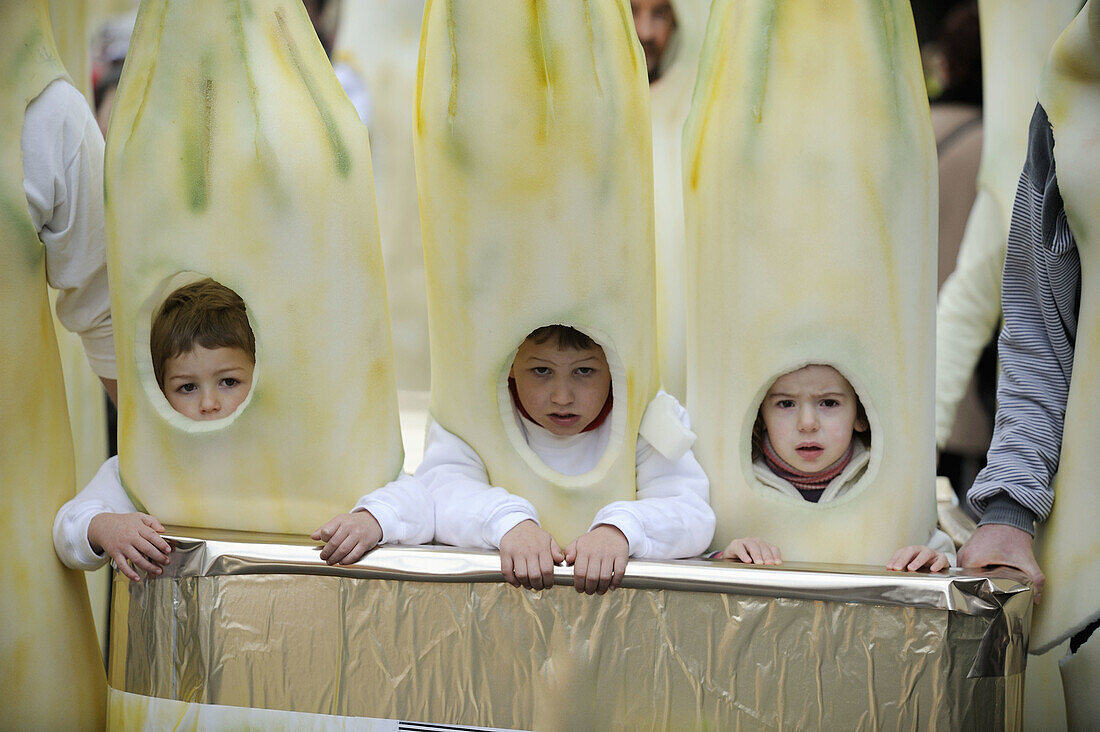 Carnival. Tolosa. Guipúzcoa, Euskadi. Spain