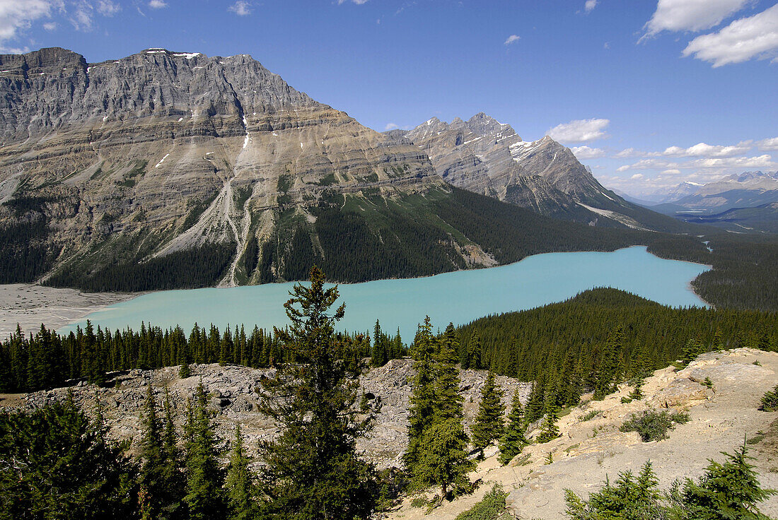 Glacial Peyto Lake Along Icefields Parkway Banff National Park Alberta Canada Canadian Rockies Canadian Rocky Mountains