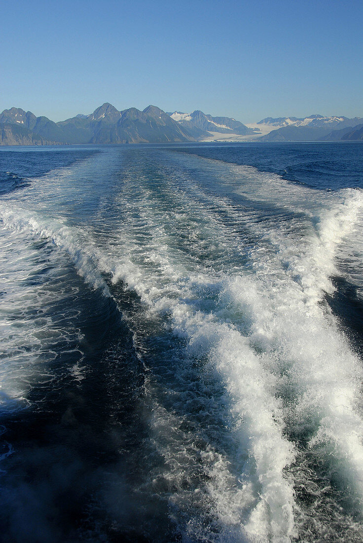 Waves created by fjord and wildlife tour in Seward Alaska AK U S United States Kenai Peninsula Resurrection Bay boat charter tour tourism excursion trip vacation