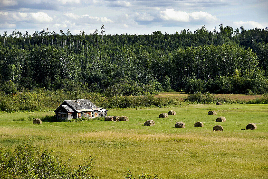 Farm Farmland along Highway 16 near Smithers British Columbia BC Canada barn weathered field crop hay harvest