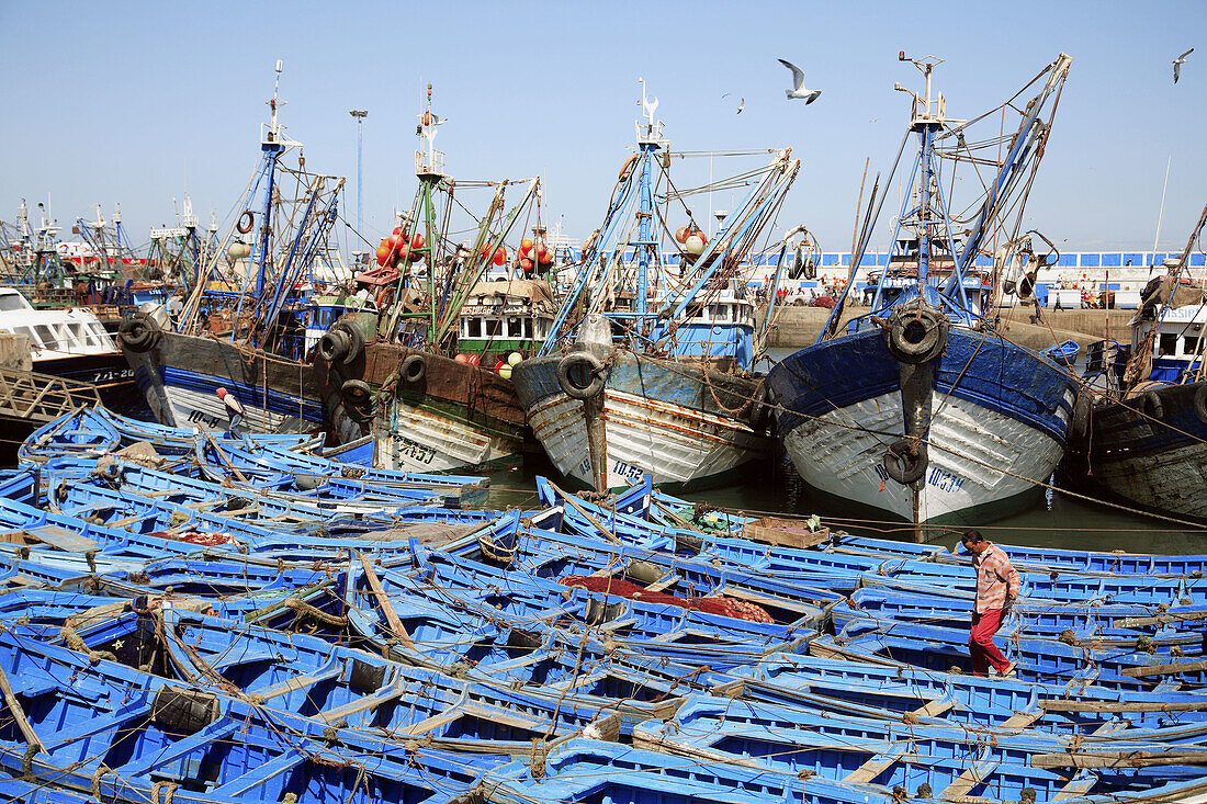 Essaouira fishing harbour. Morocco
