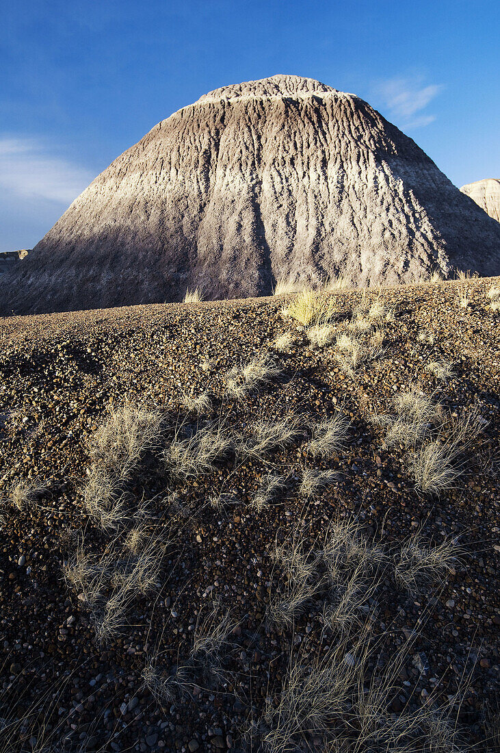 Blue Mesa, Petrified Forest NP, USA