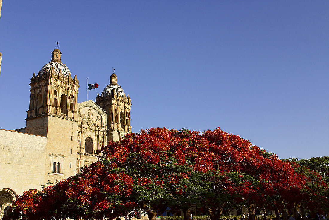 Church of Santo Domingo. Oaxaca, Mexico