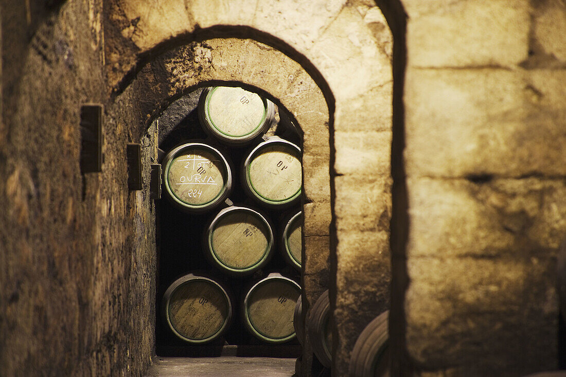 Herederos de Marques de Riscal wine cellar. Elciego, Rioja alavesa. Alava, Euskadi, Spain