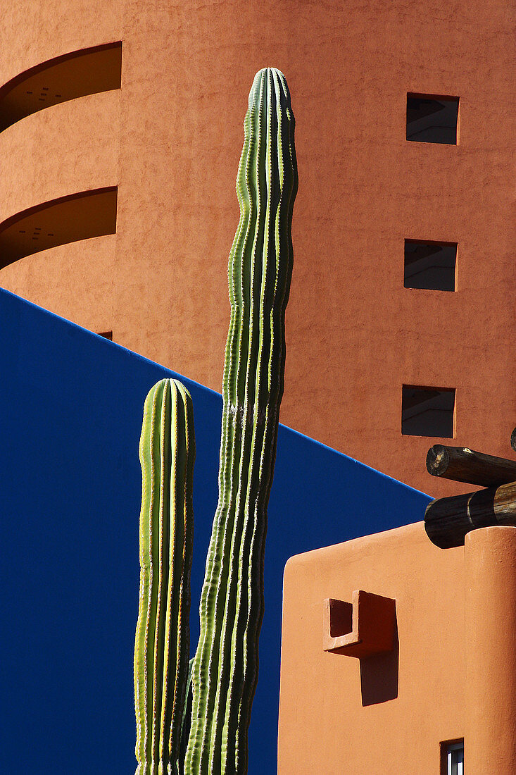 Hotel Westin, Los Cabos, Baja California Sur, Mexico