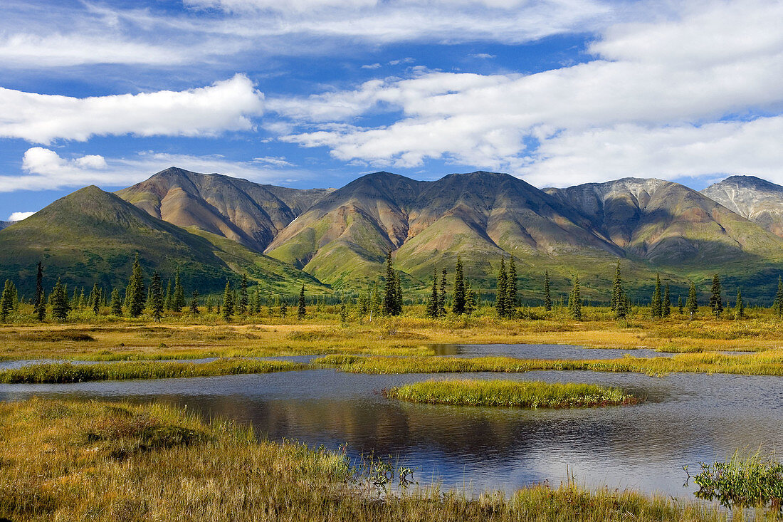 Alaska Range from Broad Pass, USA