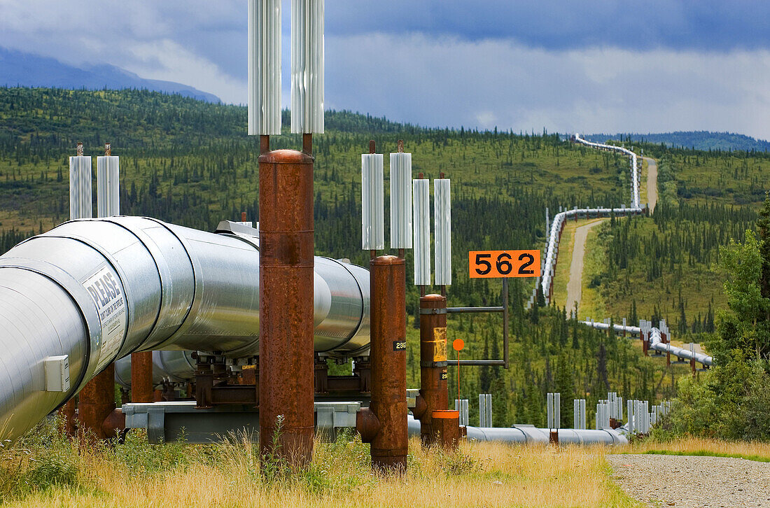 Alaska oil pipeline running through the central Alaska Range, USA