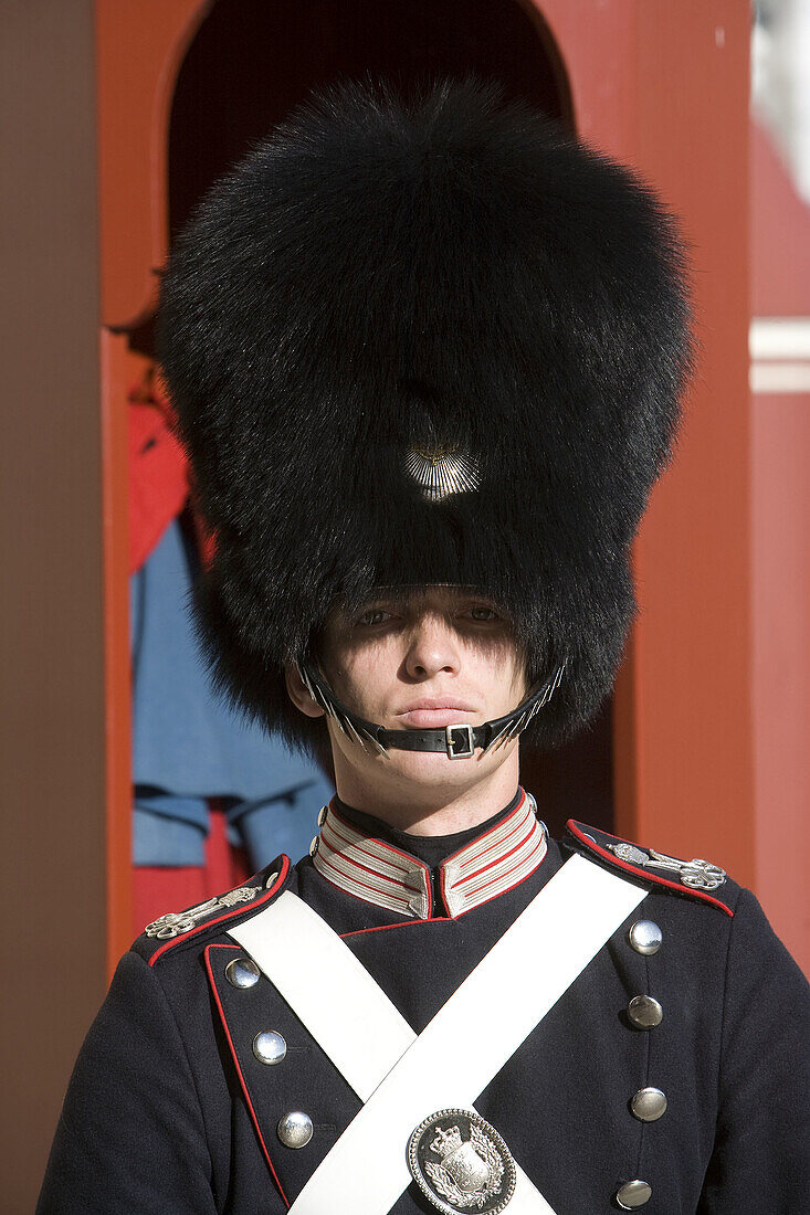 Royal guards in Amalienborg. Copenhagen. Denmark.