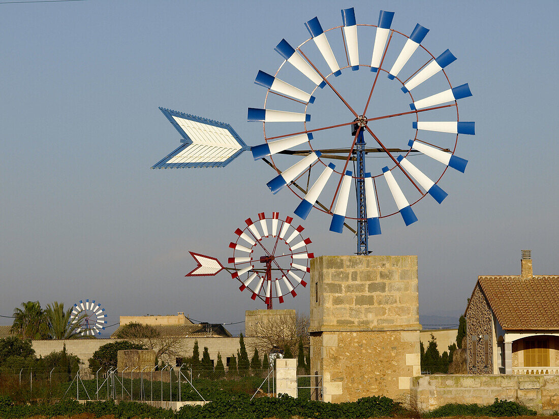 Windmühle. Campos. Mallorca. Balearische Inseln. Spanien