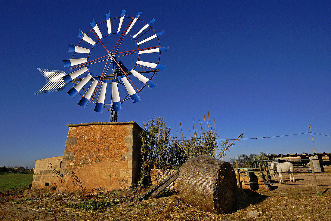 Windmill.  Majorca. Balearic Islands. Spain.