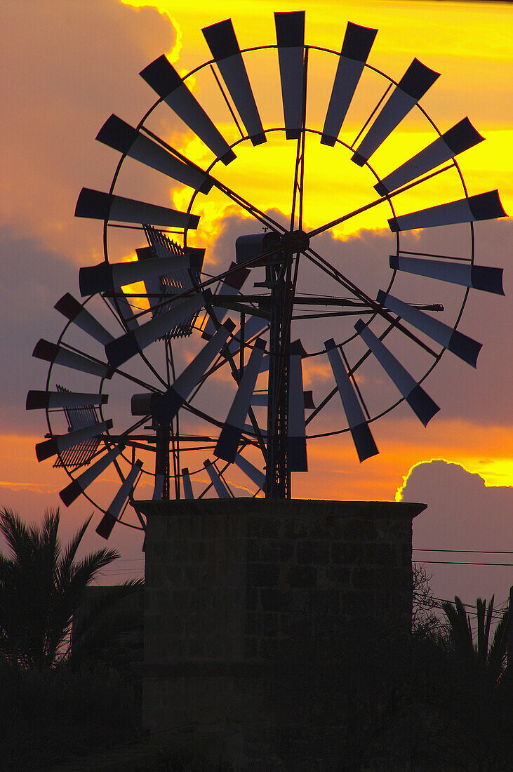 Windmill. Campos. Majorca. Balearic Islands. Spain.