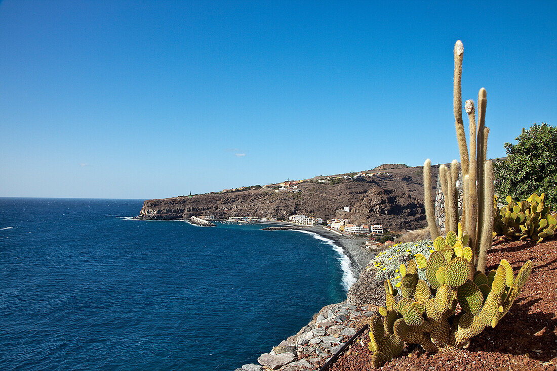 View from Jardin Tecina Hotel over cactusses in the sunlight at Playa de Santiago, La Gomera, Canary Islands, Spain, Europe