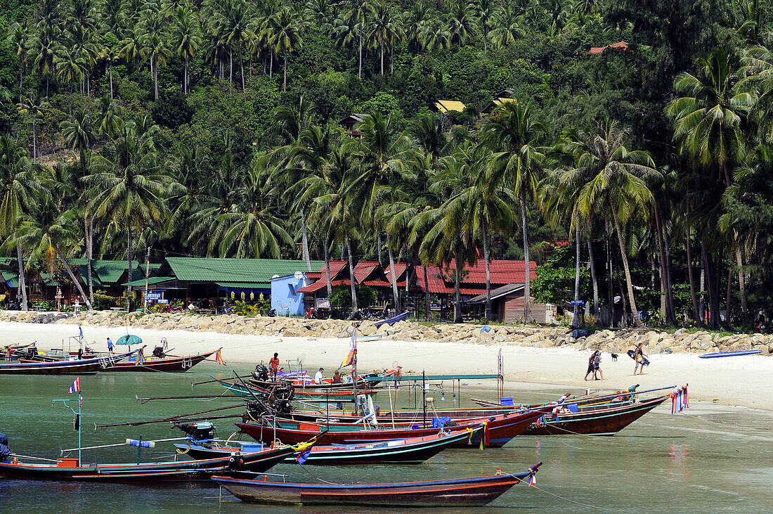 Boote in der Bucht, Chalok Lam Bay, Nordküste, Ko Phangan, Ko Pha Ngan, Thailand