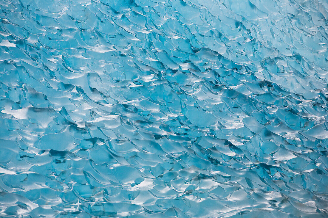 Iceberg in Endicott Arm, Inside Passage, Southeast Alaska, USA