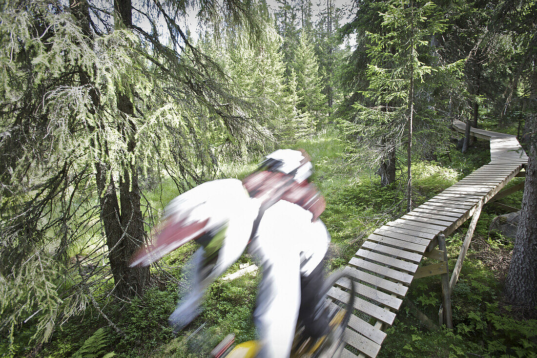 Moutainbiker fährt über einen Holzsteg im Wald, Lillehammer, Norwegen