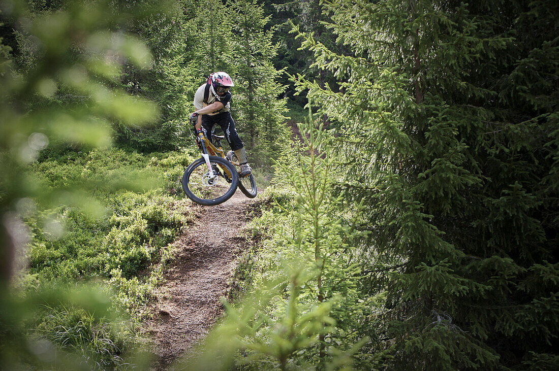 Mountainbiker jumping on a trail in the forest, Lillehammer, Norway