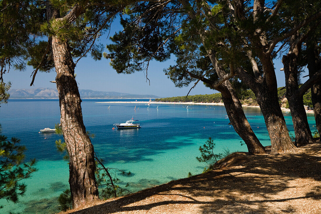 View through pines at a sunlit bay, Golden Horn, Bol, Brac Island, Dalmatia, Croatia, Europe