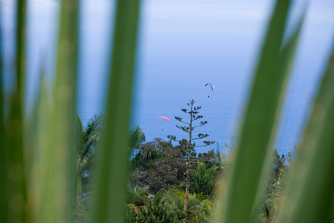 Blick vom Botanischen Garten auf Paraglider, Mascarin, La Reunion, Indischer Ozean