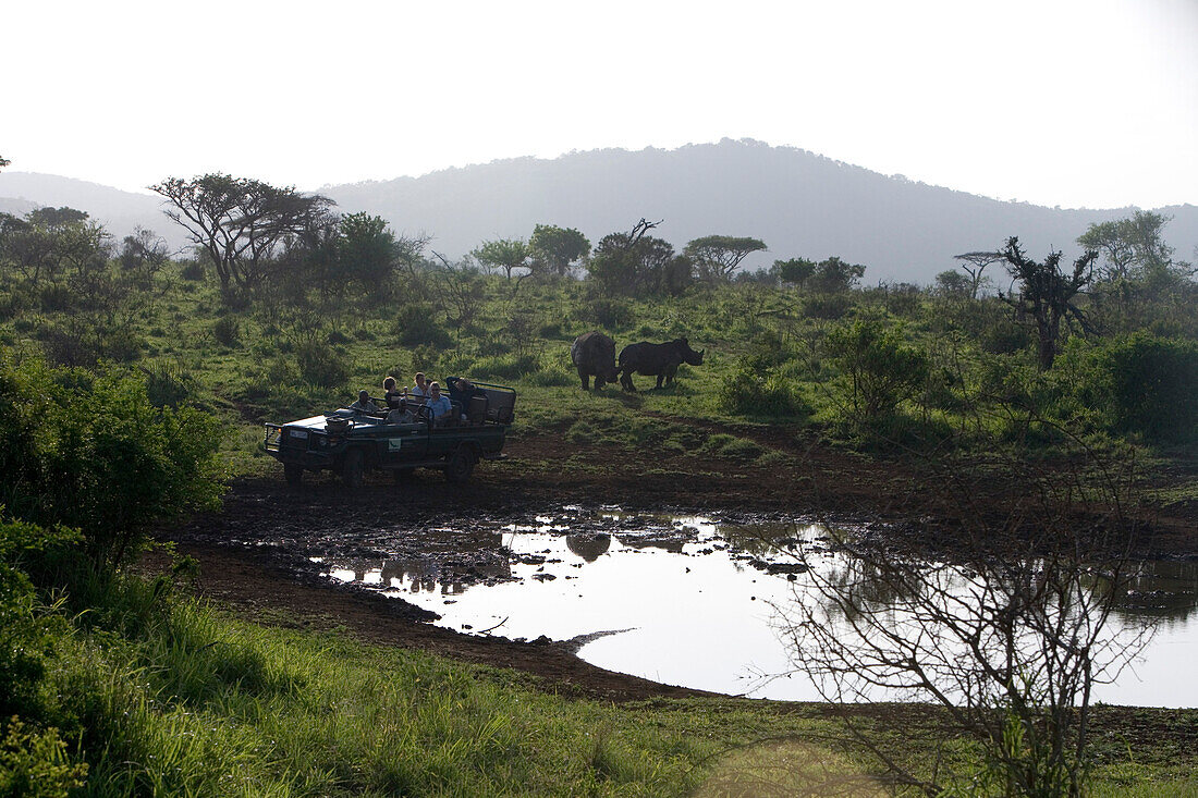 Phinda Safari Geländewagen und Nashörner, Phinda Wildreservat, KwaZulu-Natal, Südafrika, Afrika