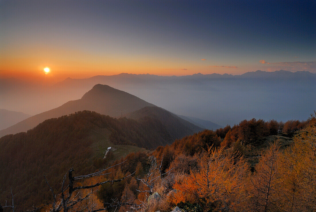 Larches in autumn colours in evening light, Monte Legnone, Bergamo Alps, Como, Lombardy, Italy