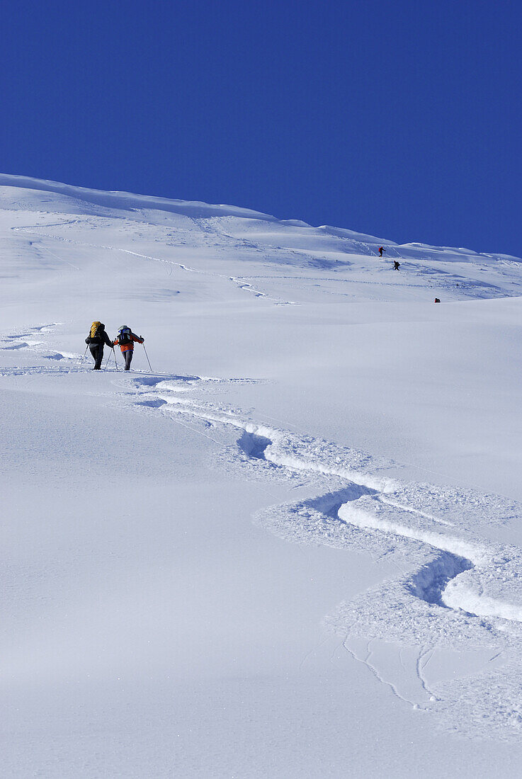 Backcounty skiiers ascending Wiedersberger Horn, Kitzbuehel Alps, Tyrol, Austria