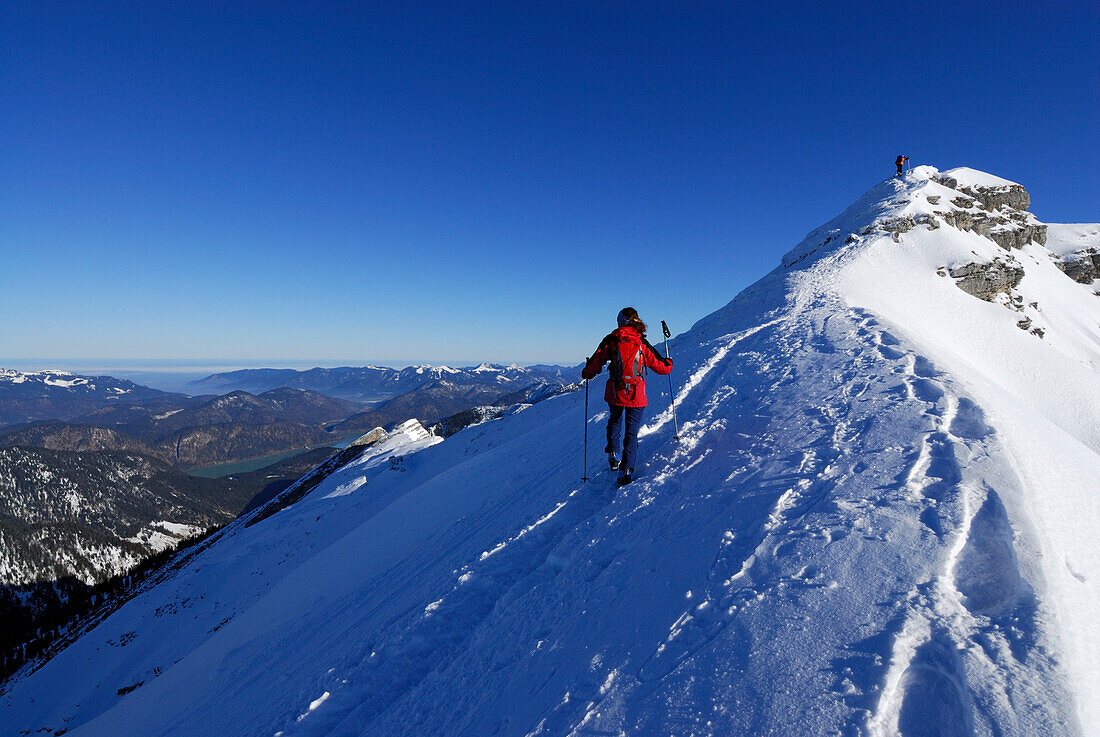Woman ascending to summit of Schafreuter, Karwendel range, Tyrol, Austria