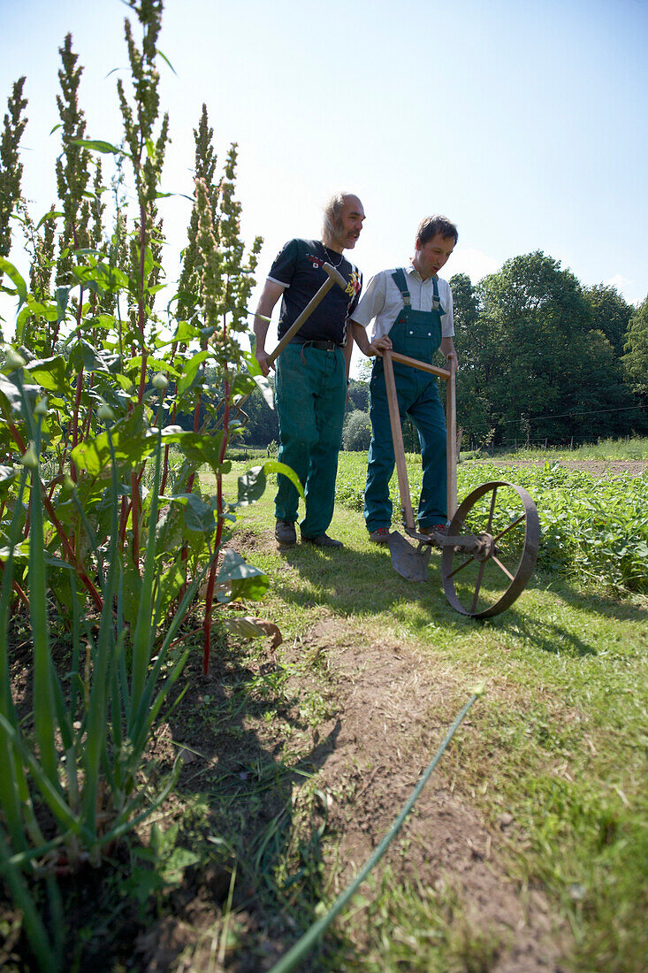 Landwirt mit Radhacke, biologisch-dynamische Landwirtschaft, Demeter, Niedersachsen, Deutschland