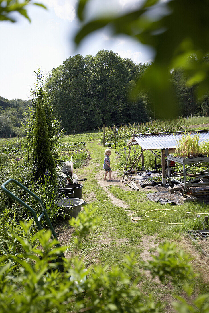 Junge zwischen Gemüsebeeten, biologisch-dynamische Landwirtschaft, Demeter, Niedersachsen, Deutschland