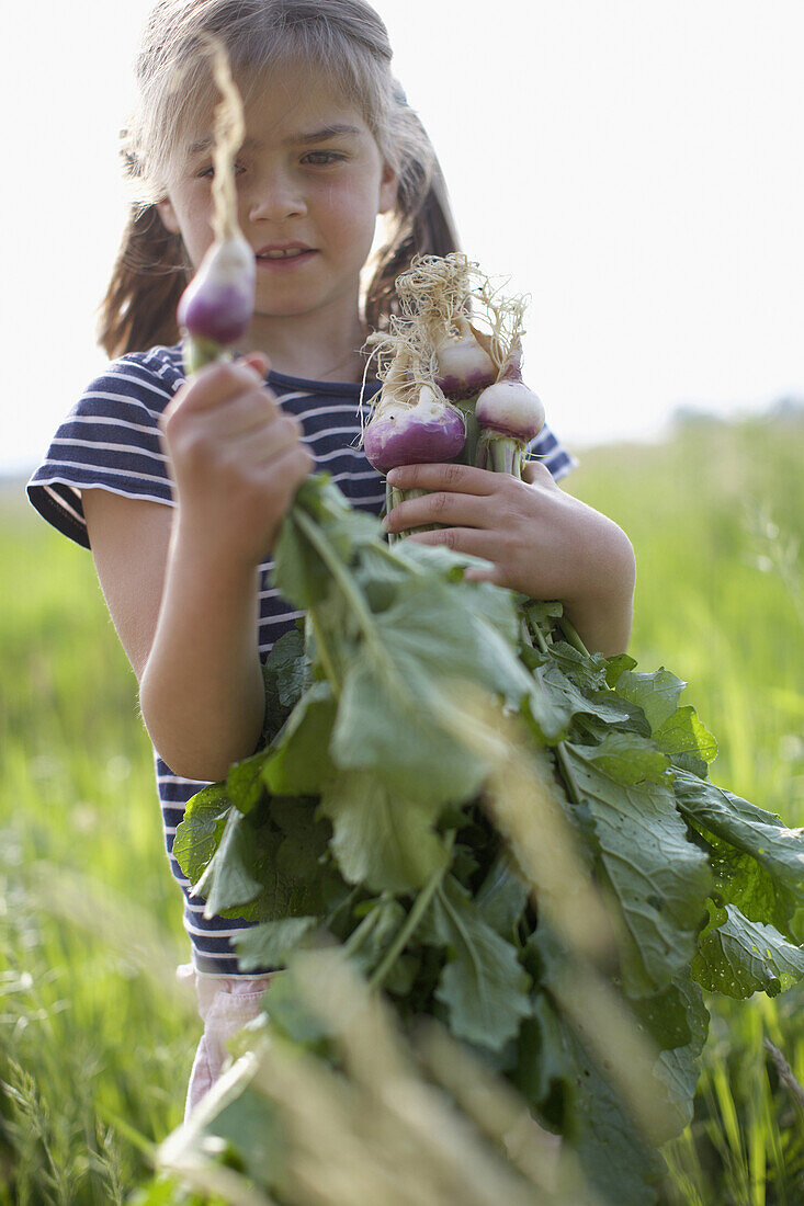 Mädchen (7 Jahre) mit frisch geerntetem Rettich aus biologisch-dynamischer Landwirtschaft, Niedersachsen, Deutschland