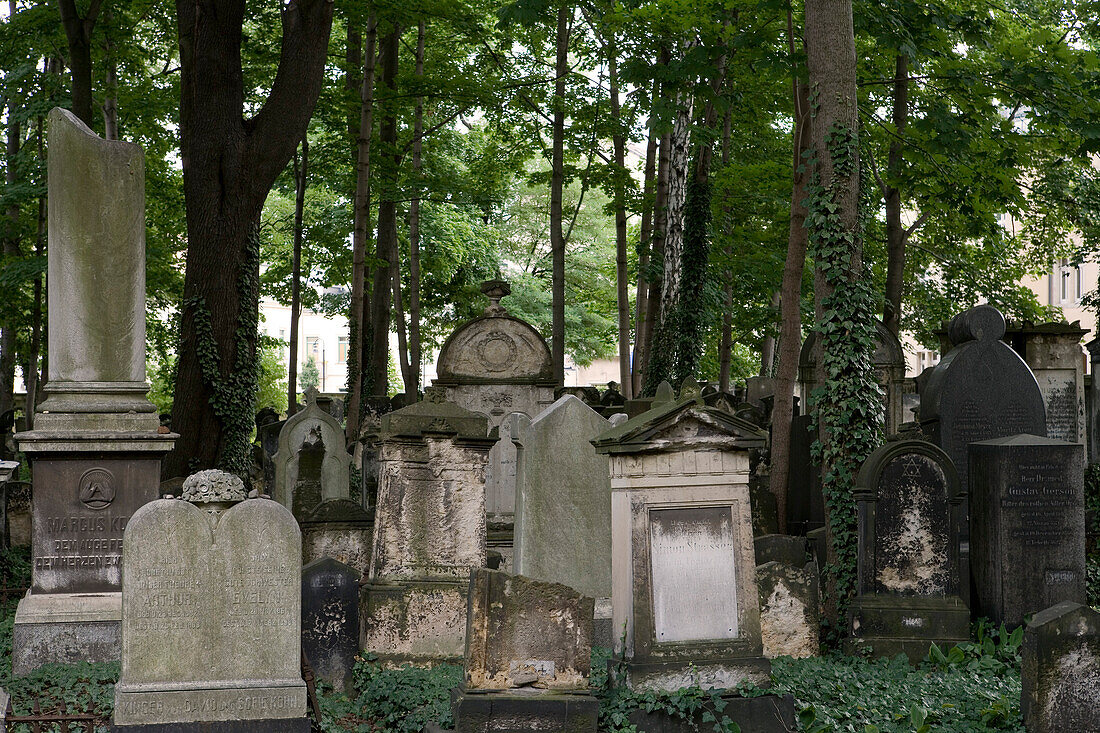 Alter Jüdischer Friedhof, Dresden, Sachsen, Deutschland