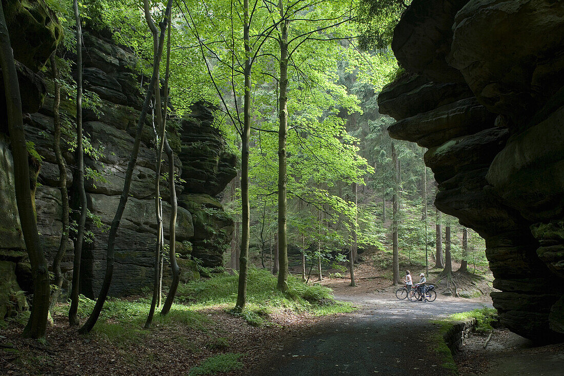 Uttewalder Ground, Saxon Switzerland National Park, Lohmen, Saxony, Germany