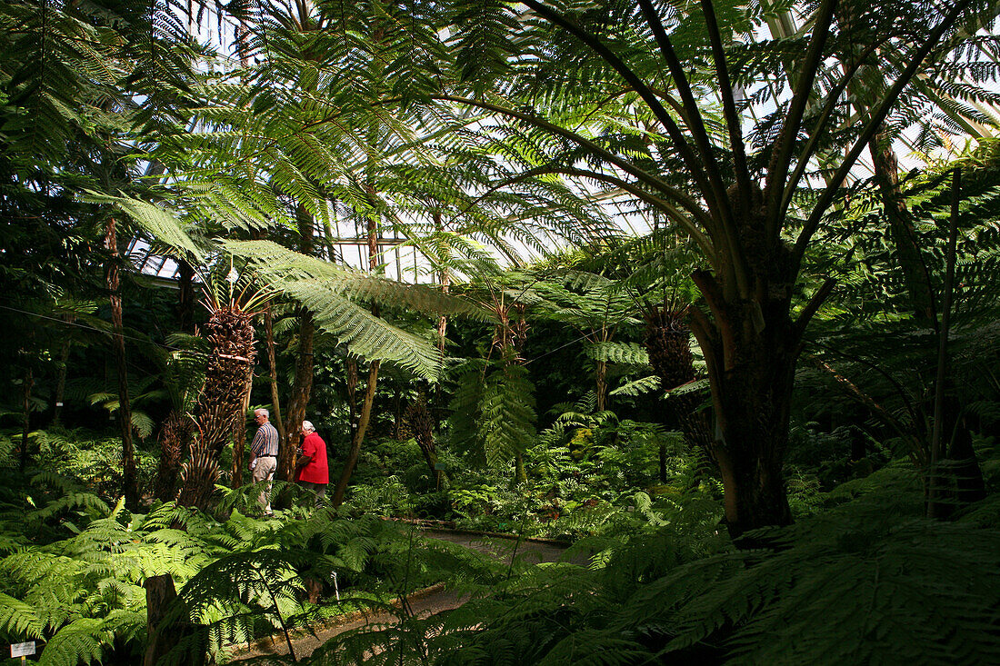 Botanical Garden in Dahlem Berlin.