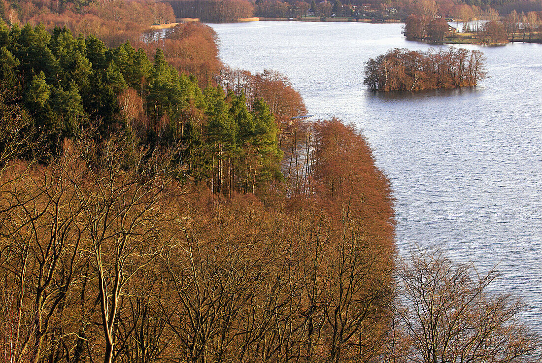 Lake of Feldberg with islands and surrounding beech forests, heritage of ice age. Lakes of Mecklenburg-Western Pomerania, Germany