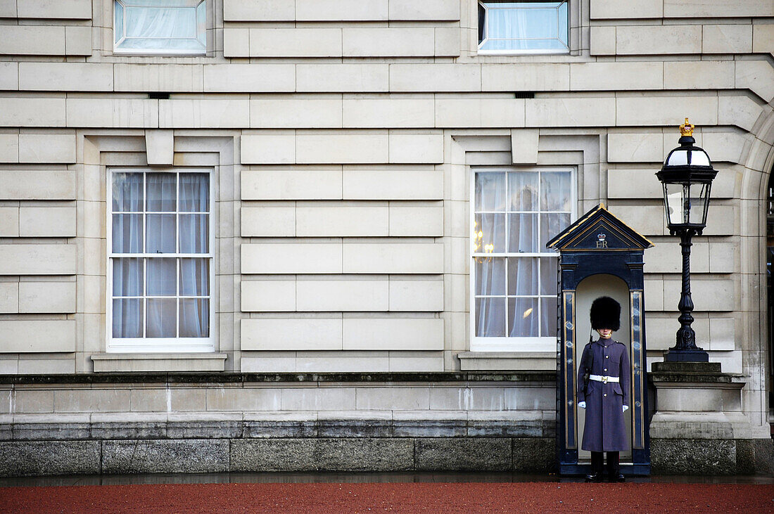 Guard at Buckingham Palace, London. England, UK