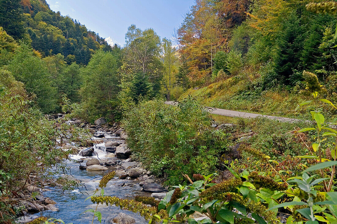 Joeu river. Artiga de Lin valley, Pyrenees Mountains, Catalonia, Spain.