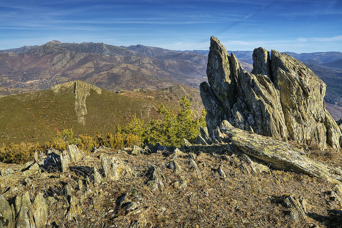 Sierra Norte from 'Cuerda de la Astilla'. Madrid. Spain..